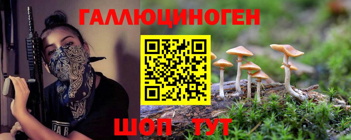 Галлюциногенные грибы Psilocybine cubensis  Галлюциногенные грибы Magic Shrooms  Киселёвск  где продают наркотики  Вход с VPN 