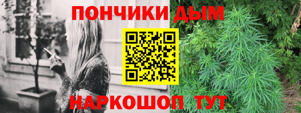 Конопля индика Киселёвск